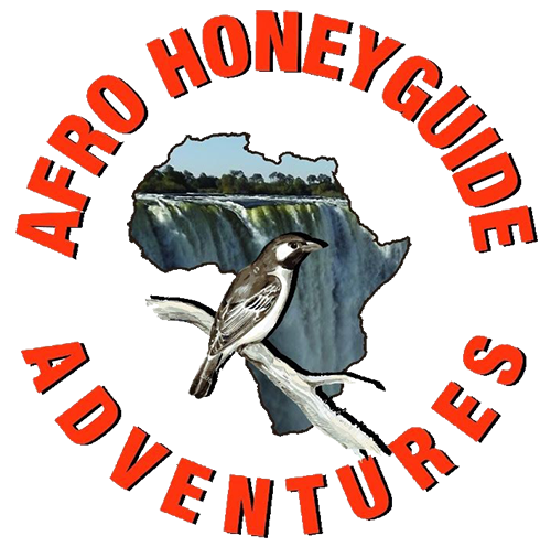 Afro Honey Guide