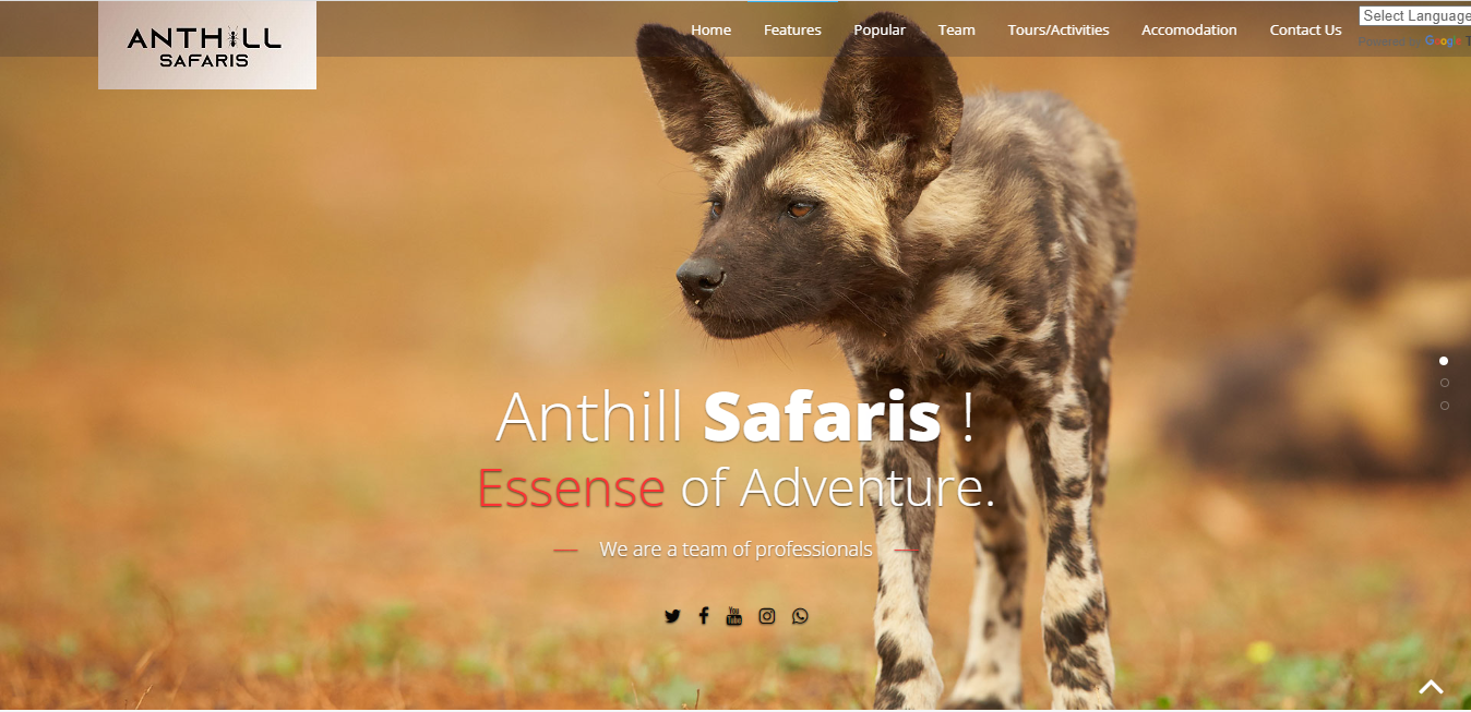 Anthill Safaris is a Travel and Touring Company based in Victoria Falls. We specialize in personalized 
					services and conduct Luxury and adventure excursions in Victoria Falls – Zimbabwe, Botswana & South Africa.